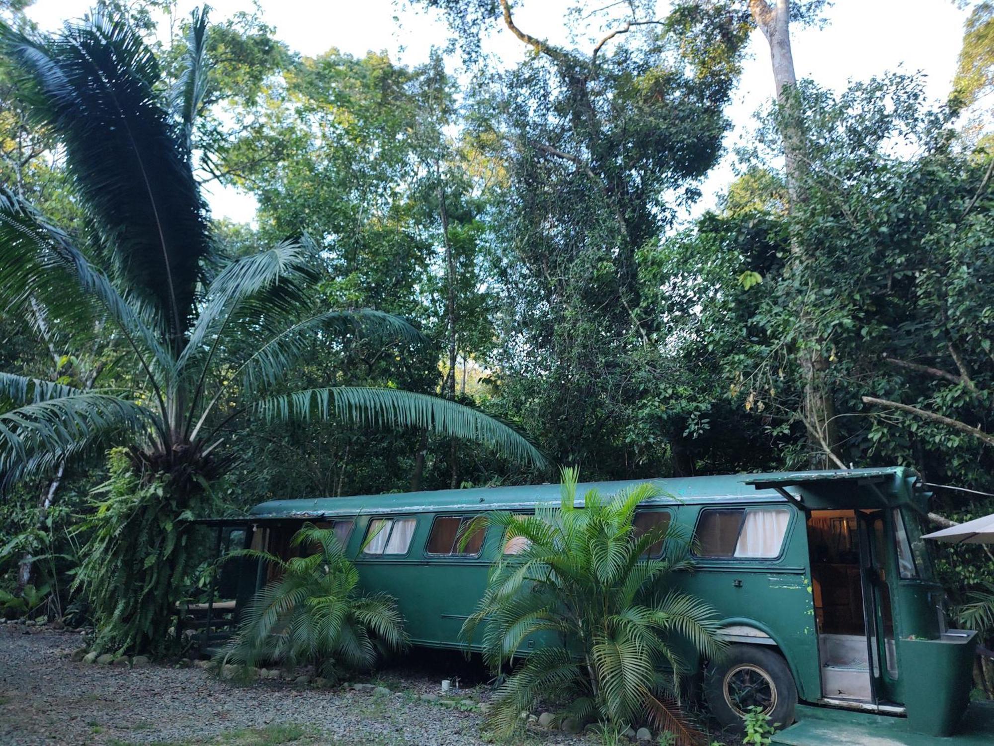 אוביטה Cool Waters Jungle Villas מראה חיצוני תמונה