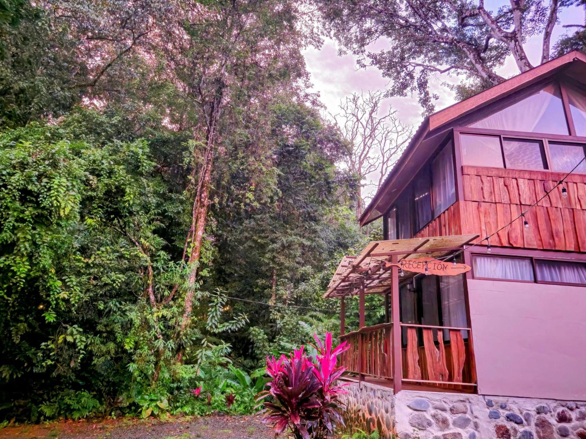 אוביטה Cool Waters Jungle Villas מראה חיצוני תמונה